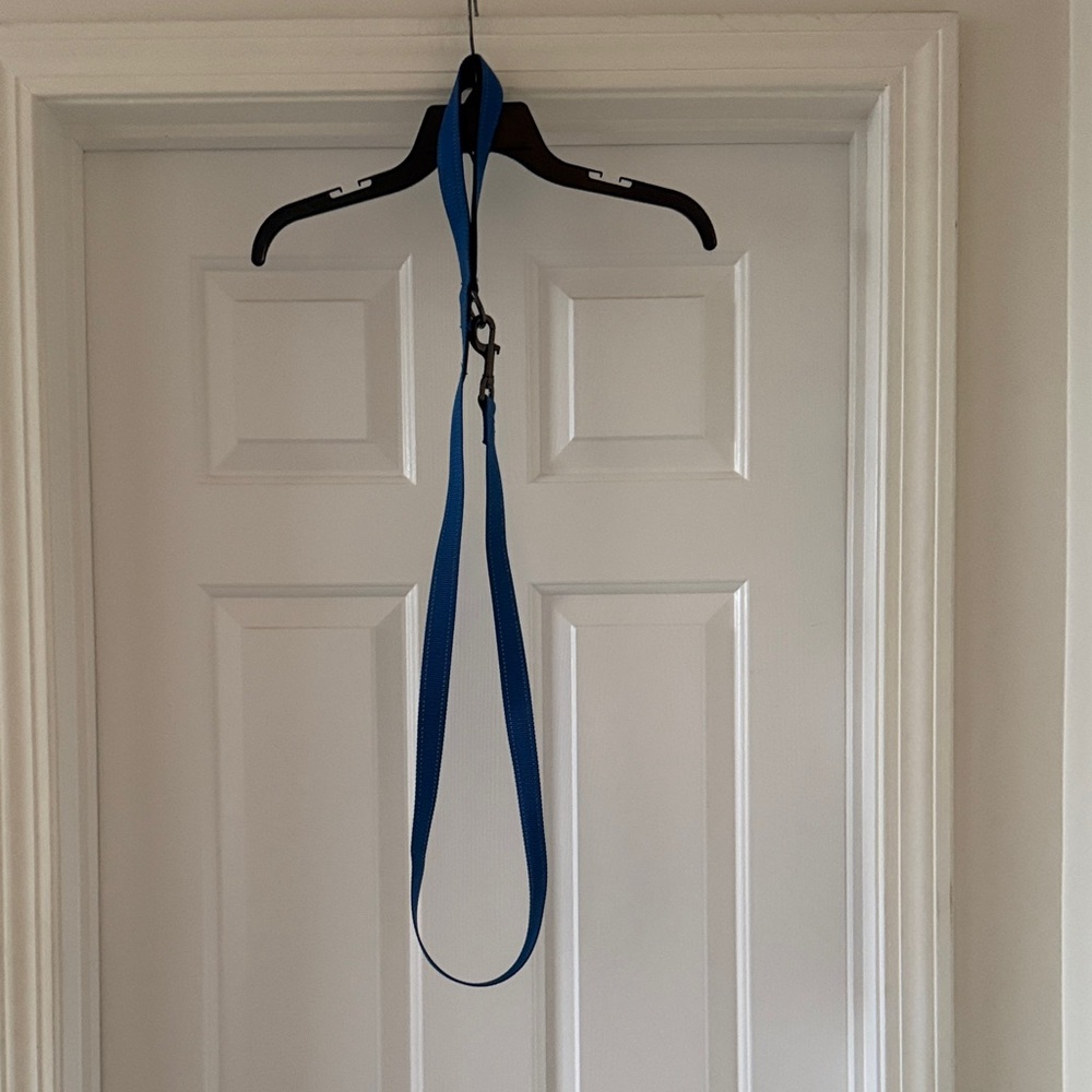 Blue Dog Leash - 5 ft